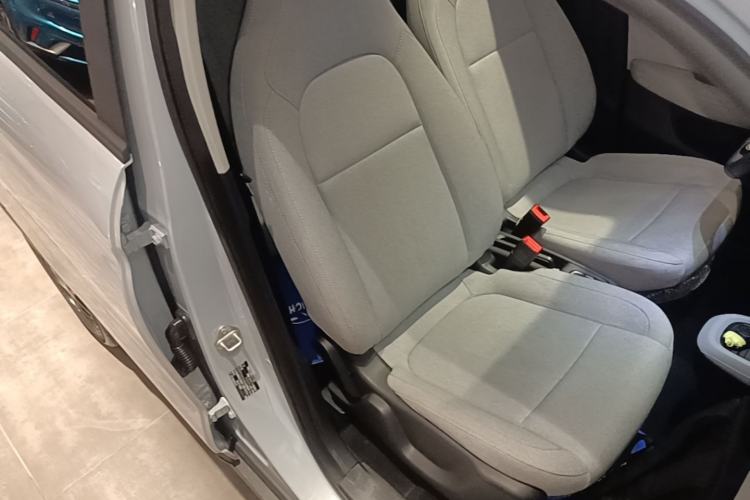 Used Leapmotor T03 2023 403 Smart Edition Right Front Seat
