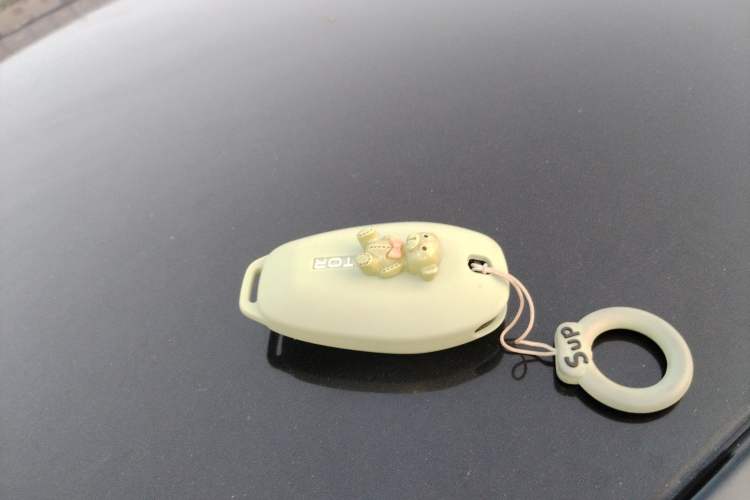 Used Leapmotor T03 2023 310 Lite Edition Vehicle Key