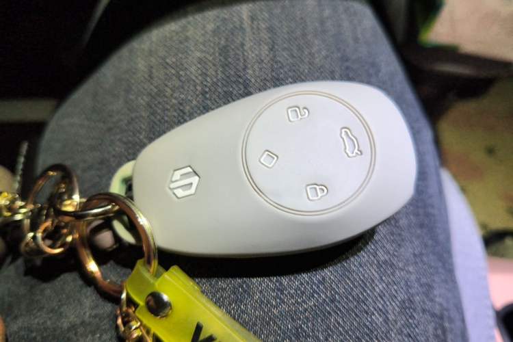 Used Leapmotor T03 2023 310 Lite Edition Vehicle Key