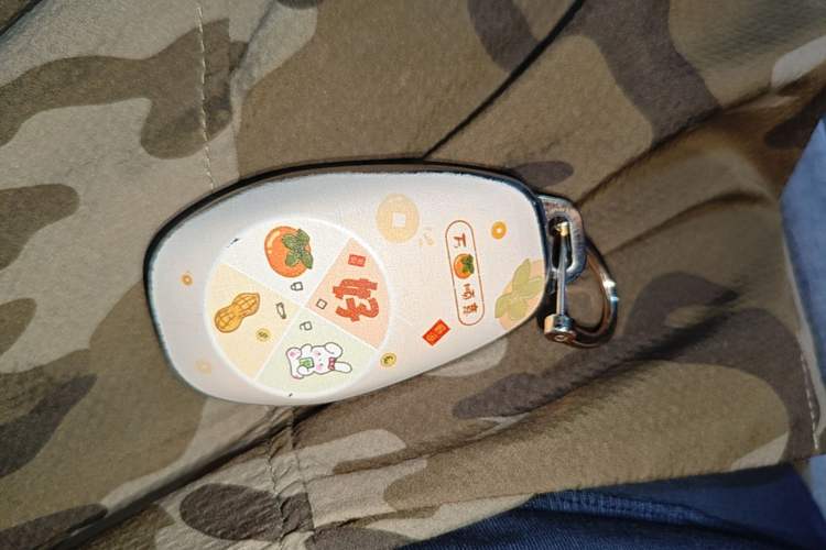 Used Leapmotor T03 2023 310 Lite Edition Vehicle Key