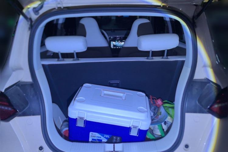 Used Leapmotor T03 2023 403 Lite Edition Trunk
