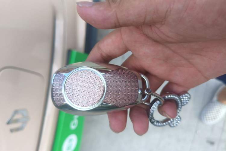 Used Leapmotor T03 2023 310 Lite Edition Vehicle Key
