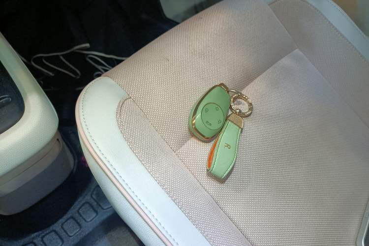 Used Leapmotor T03 2023 310 Lite Edition Vehicle Key