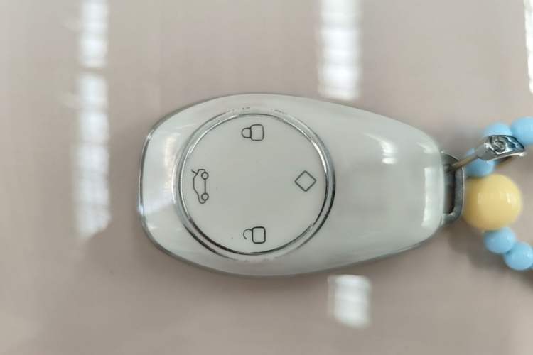 Used Leapmotor T03 2023 310 Lite Edition Vehicle Key