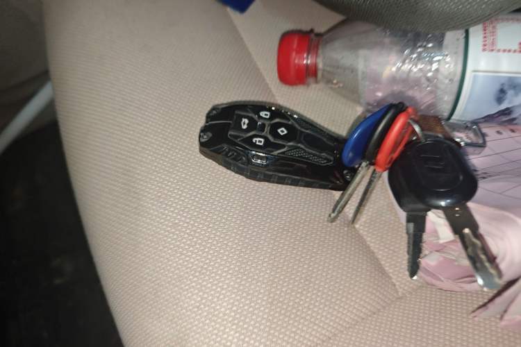 Used Leapmotor T03 2023 310 Lite Edition Vehicle Key
