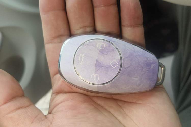 Used Leapmotor T03 2023 310 Lite Edition Vehicle Key