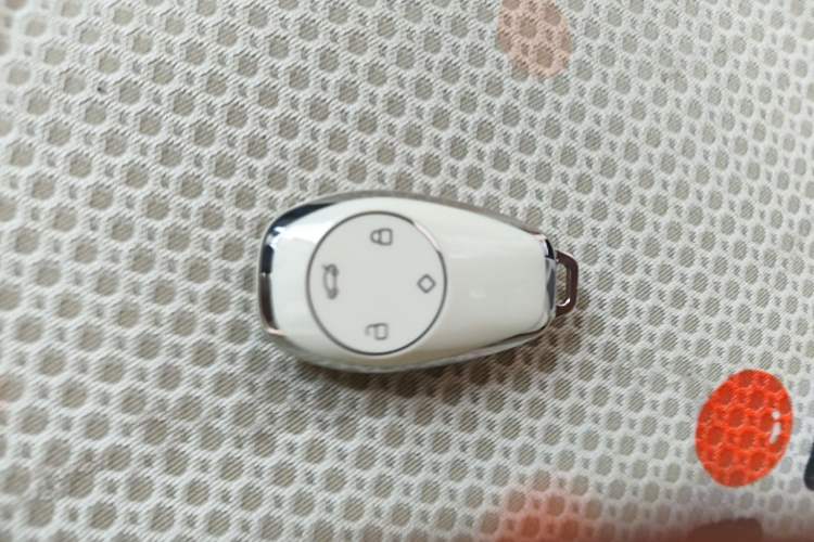 Used Leapmotor T03 2023 310 Lite Edition Vehicle Key