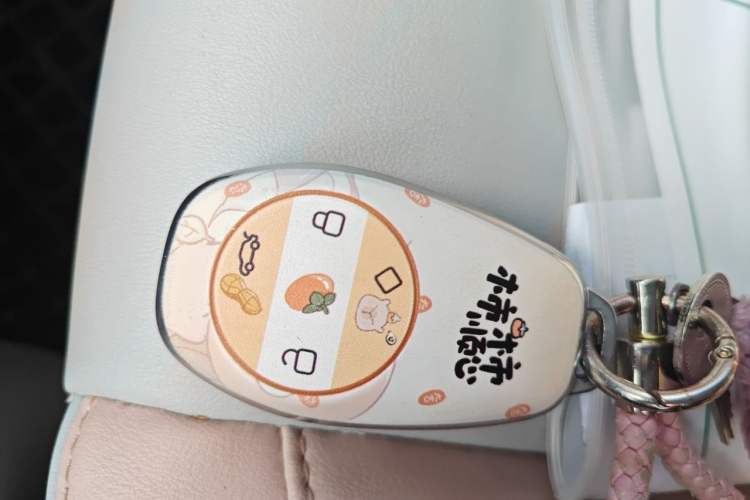 Used Leapmotor T03 2023 310 Lite Edition Vehicle Key