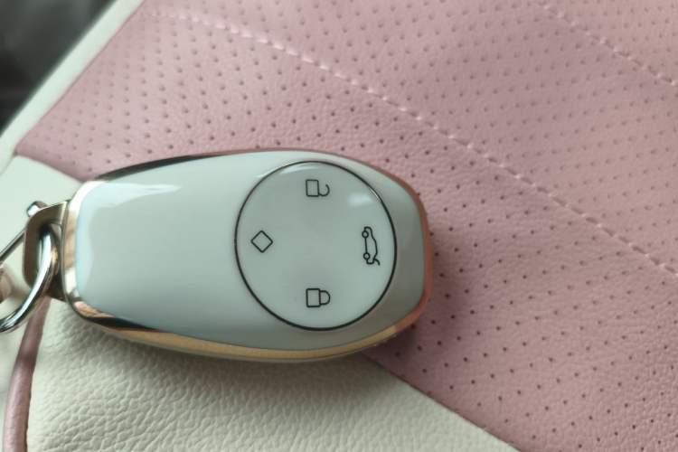 Used Leapmotor T03 2023 200 Lite Edition Vehicle Key