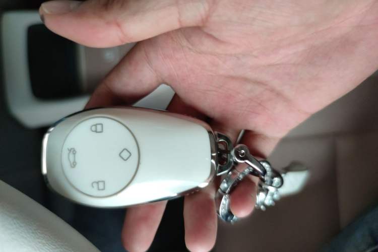 Used Leapmotor T03 2023 200 Lite Edition Vehicle Key