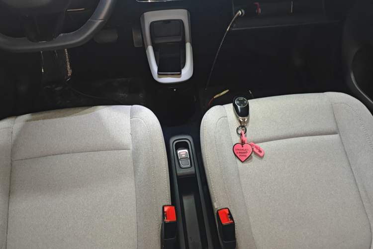 Used Leapmotor T03 2023 403 Smart Edition Gear Lever