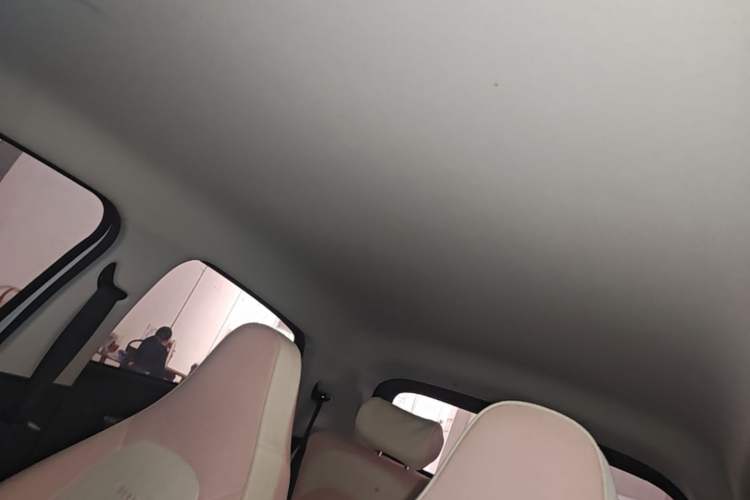 Used Leapmotor T03 2023 200 Lite Edition Headliner
