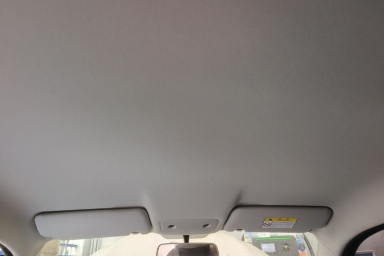 Used Leapmotor T03 2023 310 Lite Edition Headliner