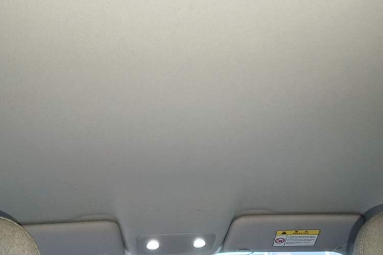 Used Leapmotor T03 2023 310 Lite Edition Headliner