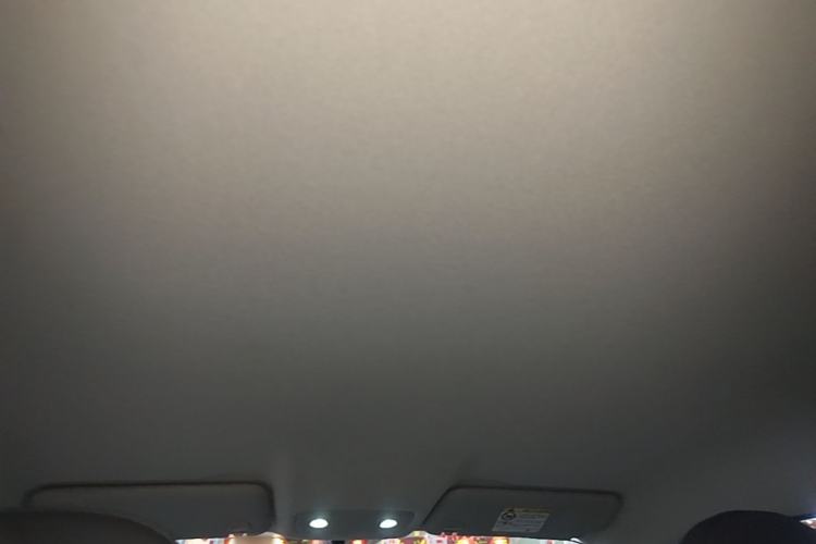Used Leapmotor T03 2023 310 Lite Edition Headliner