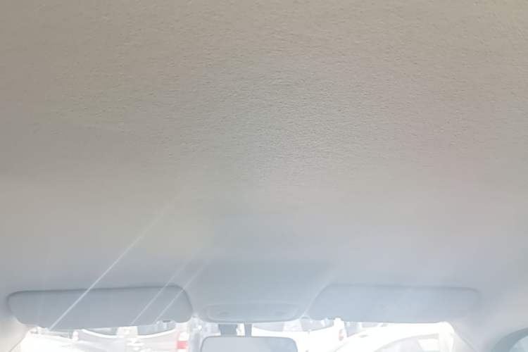 Used Leapmotor T03 2023 200 Lite Edition Headliner