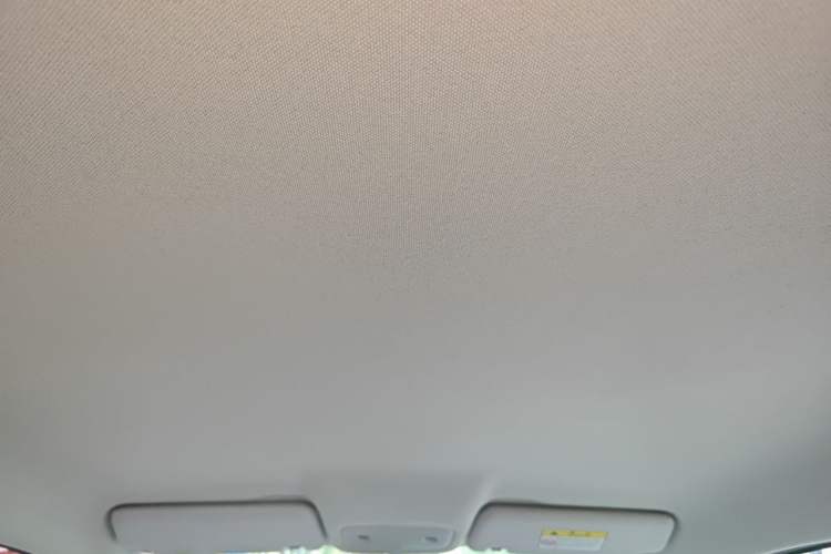 Used Leapmotor T03 2023 200 Lite Edition Headliner