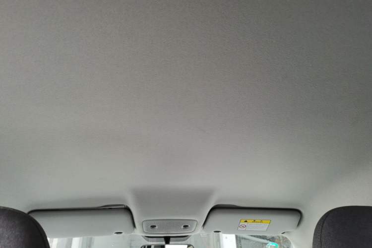 Used Leapmotor T03 2023 310 Lite Edition Headliner