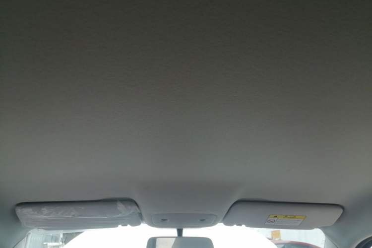 Used Leapmotor T03 2023 200 Lite Edition Headliner