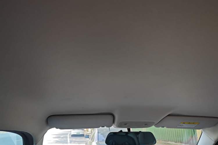 Used Leapmotor T03 2023 310 Lite Edition Headliner