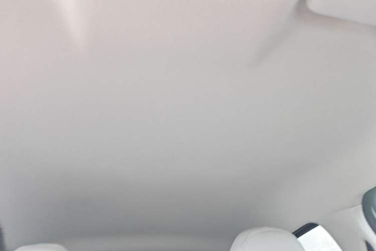 Used Leapmotor T03 2023 310 Lite Edition Headliner