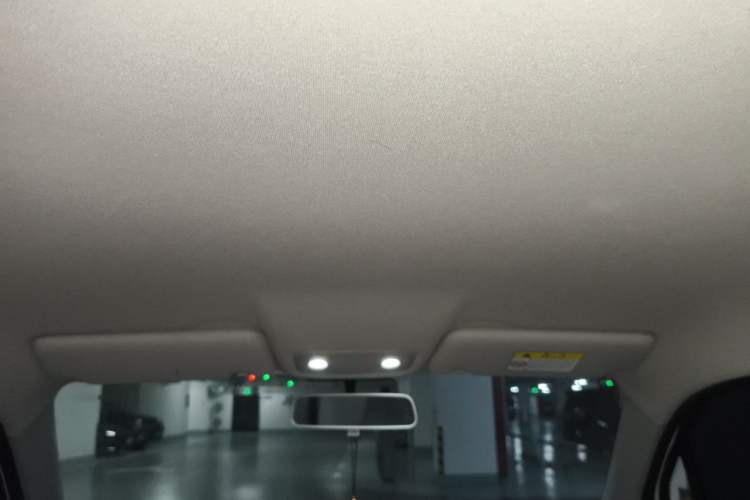 Used Leapmotor T03 2023 310 Lite Edition Headliner