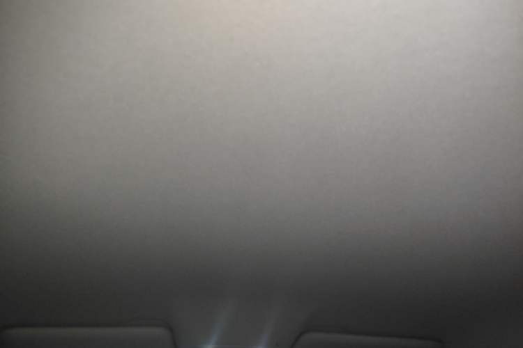 Used Leapmotor T03 2023 310 Lite Edition Headliner