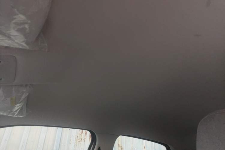 Used Leapmotor T03 2023 200 Lite Edition Headliner