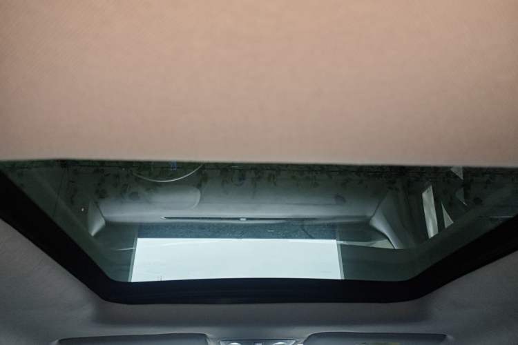 Used Leapmotor T03 2023 403 Smart Edition Headliner