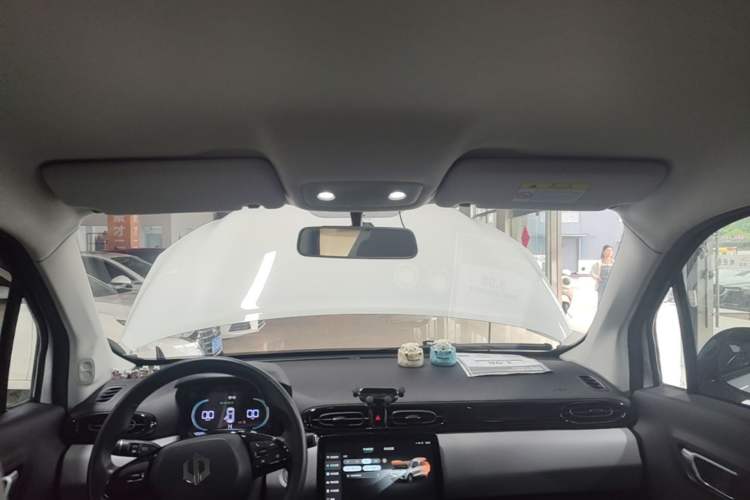 Used Leapmotor T03 2023 310 Lite Edition Headliner