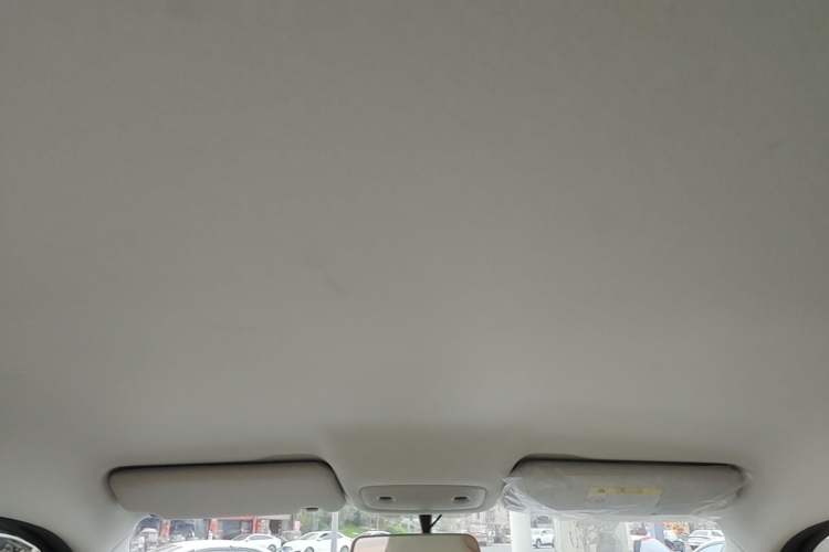 Used Leapmotor T03 2023 310 Lite Edition Headliner