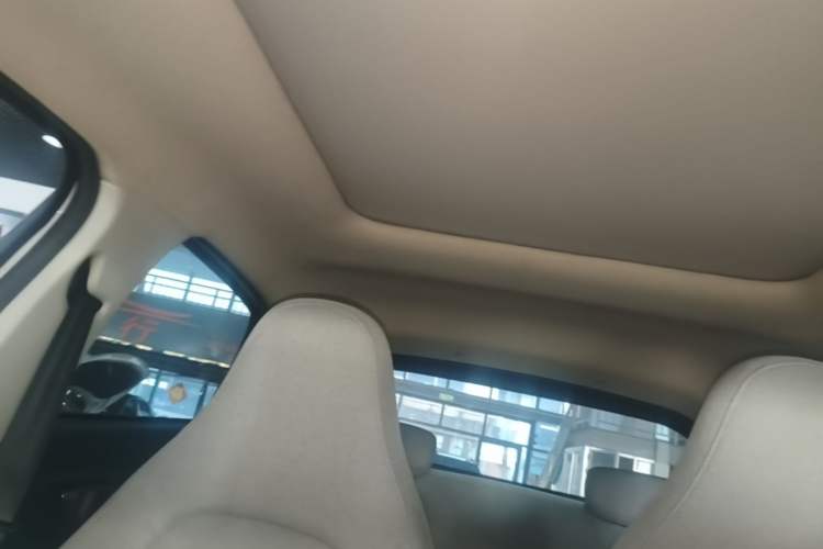 Used Leapmotor T03 2023 403 Smart Edition Headliner