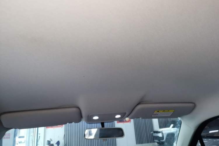 Used Leapmotor T03 2023 200 Lite Edition Headliner
