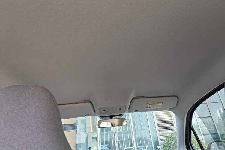 Used Leapmotor T03 2023 310 Lite Edition Headliner