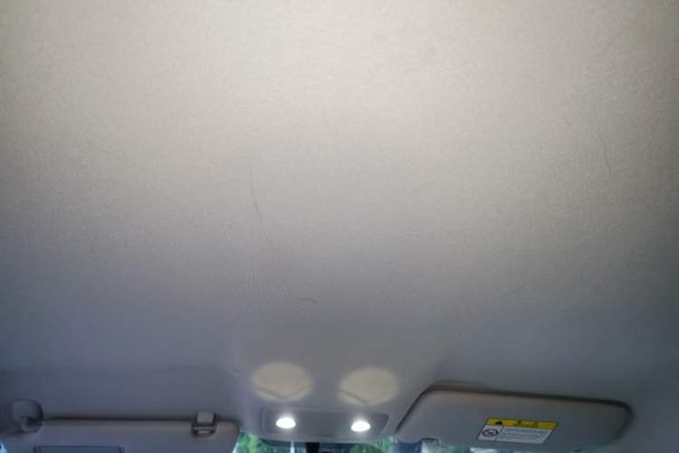 Used Leapmotor T03 2023 310 Lite Edition Headliner