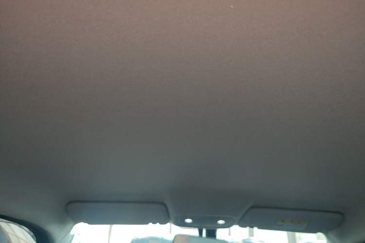 Used Leapmotor T03 2023 310 Lite Edition Headliner