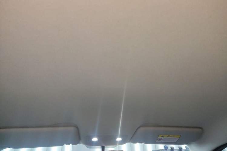 Used Leapmotor T03 2023 200 Lite Edition Headliner