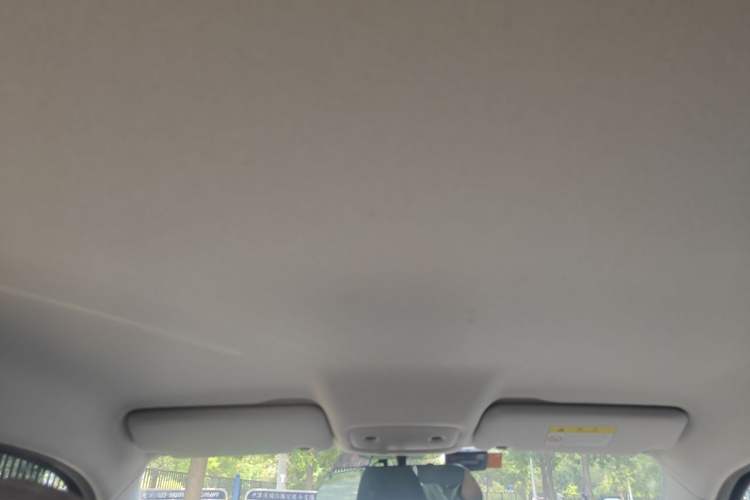 Used Leapmotor T03 2023 310 Lite Edition Headliner