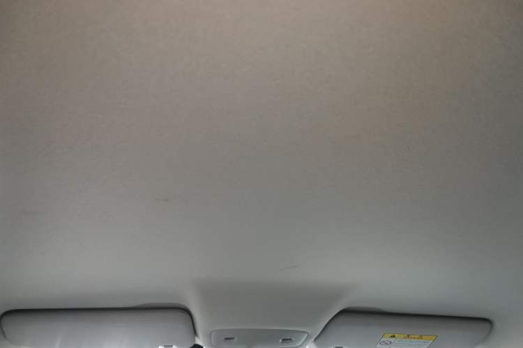 Used Leapmotor T03 2023 310 Lite Edition Headliner