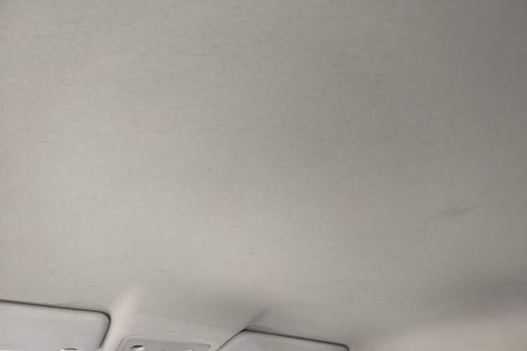Used Leapmotor T03 2023 310 Lite Edition Headliner