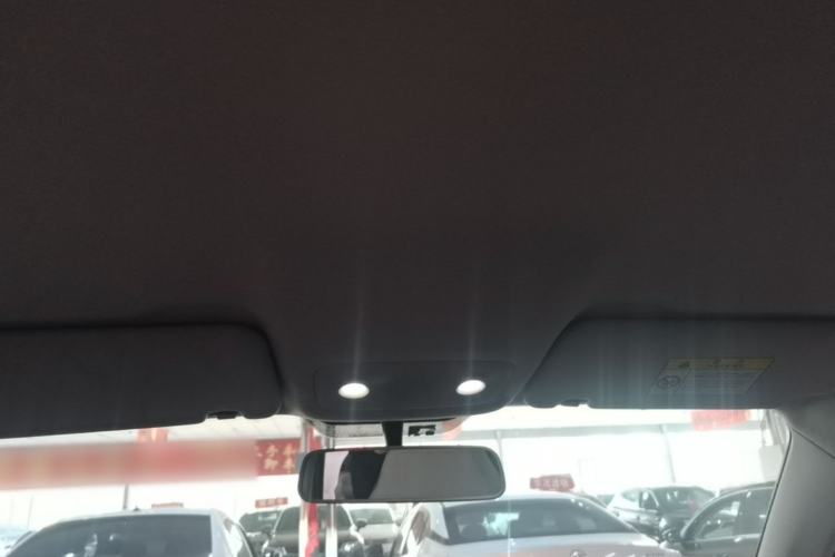Used Leapmotor T03 2023 200 Lite Edition Headliner