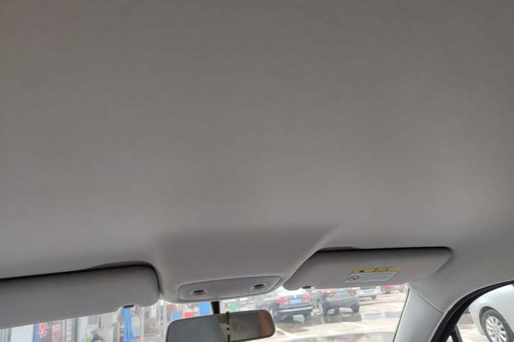 Used Leapmotor T03 2023 310 Lite Edition Headliner