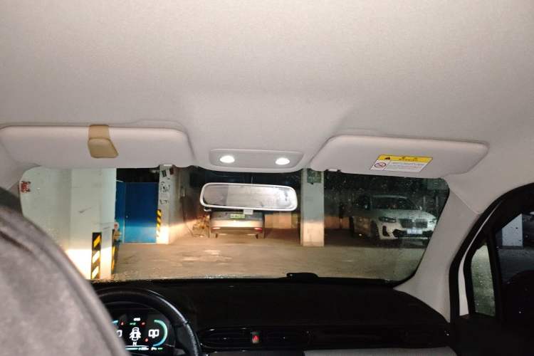 Used Leapmotor T03 2023 310 Lite Edition Headliner