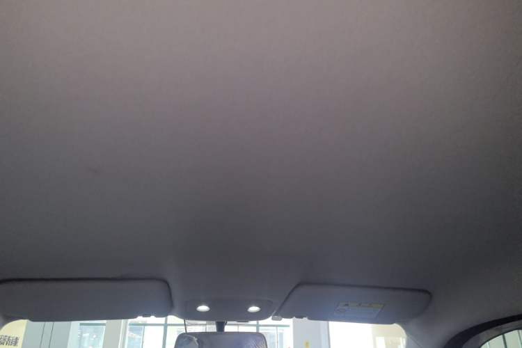 Used Leapmotor T03 2023 310 Lite Edition Headliner