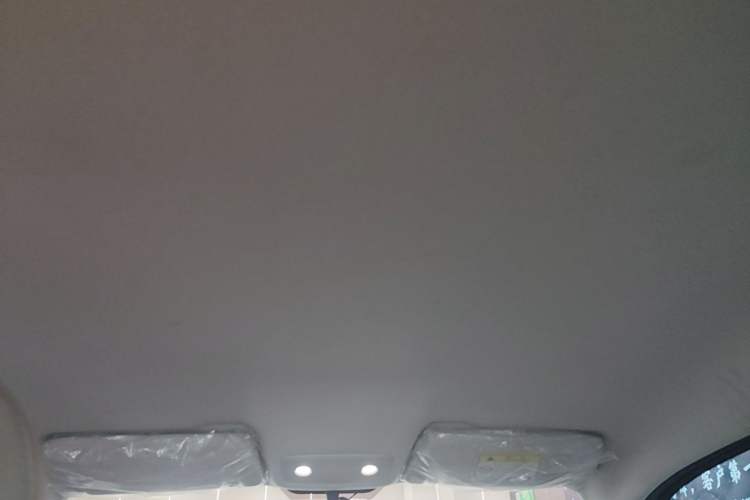 Used Leapmotor T03 2023 200 Lite Edition Headliner
