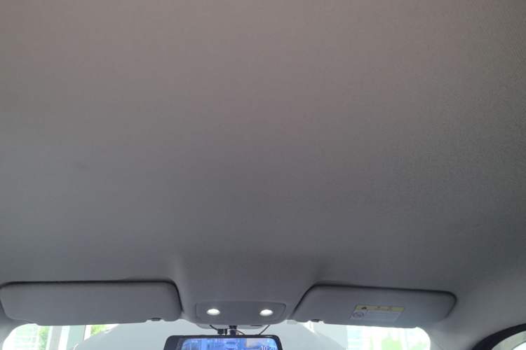 Used Leapmotor T03 2023 310 Lite Edition Headliner