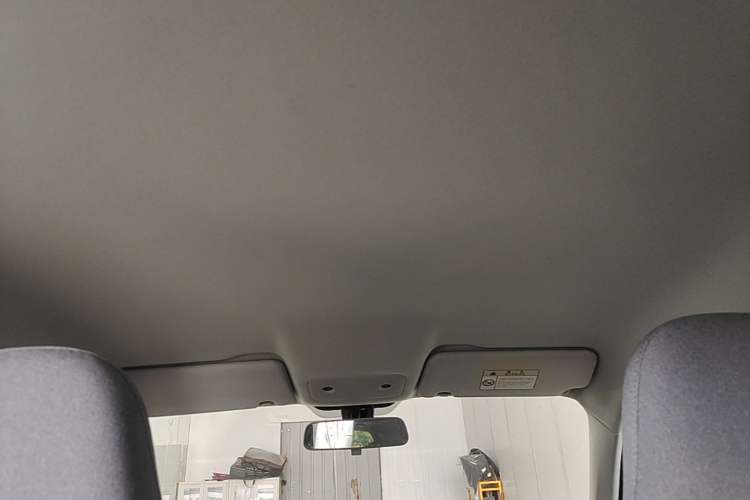 Used Leapmotor T03 2023 200 Lite Edition Headliner