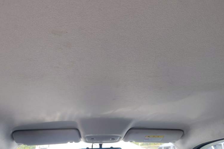 Used Leapmotor T03 2023 200 Lite Edition Headliner
