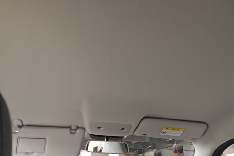 Used Leapmotor T03 2023 310 Lite Edition Headliner