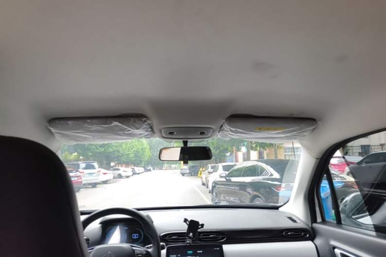 Used Leapmotor T03 2023 310 Lite Edition Headliner